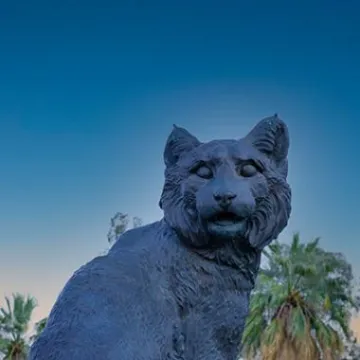 Wildcat Statue